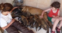 CHIOT